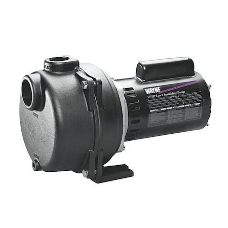 Wayne Wayne 1-1/2 HP 4350 gph Cast Iron Sprinkler Pump WLS150